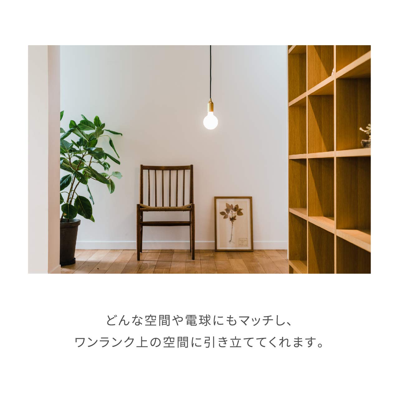 Amazon | ビートソニック OnlyOne(オンリーワン) muni(ムニ